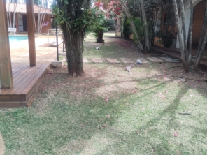 Foto de CLJ Construção, Limpeza e Jardinagem em Boituva, SP por Solutudo