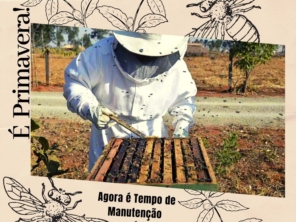 Foto de Fábrica de Caixas de Abelha Zé Colmeia em Capão Bonito, SP por Solutudo