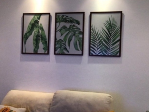 Foto de Pinturas Classe AAA. em Registro, SP por Solutudo