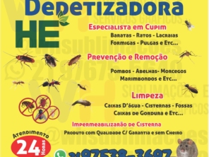 Foto galeria da empresa