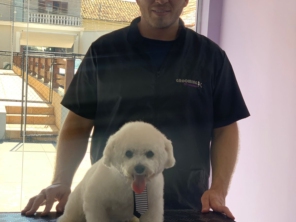 Foto galeria da empresa