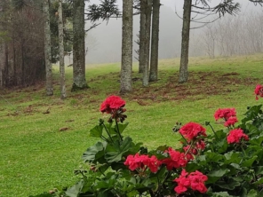 Foto de Travel Club Trilhas em Porto Alegre, RS por Solutudo