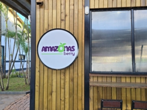 Foto de Ideal Comunicação Visual em Botucatu, SP por Solutudo