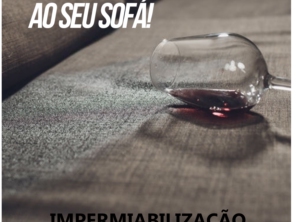 Proteja seu sofá, colchão, tapete, cadeiras