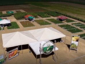 Foto de Infinity Produções para Eventos em Rio Verde, GO por Solutudo