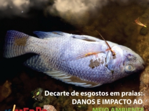 Todo esgoto deve ser tratado. O descarte deve ser realizado em locais próprios para tratamento!