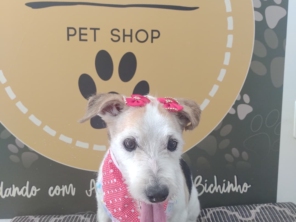 Foto de Martins Pet Shop em Assis, SP por Solutudo