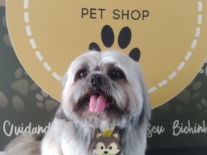 Foto de Martins Pet Shop em Assis, SP por Solutudo