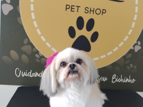 Foto de Martins Pet Shop em Assis, SP por Solutudo