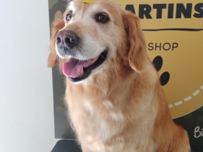 Foto de Martins Pet Shop em Assis, SP por Solutudo