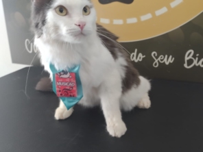 Foto de Martins Pet Shop em Assis, SP por Solutudo
