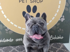 Foto de Martins Pet Shop em Assis, SP por Solutudo