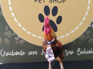 Foto de Martins Pet Shop em Assis, SP por Solutudo