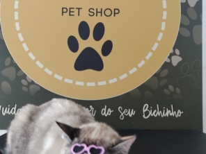 Foto galeria da empresa