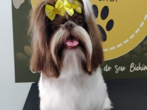Foto de Martins Pet Shop em Assis, SP por Solutudo