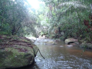 Foto de LINE RABELO TOPOGRAFIA em Lagoa Santa, MG por Solutudo
