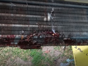 Foto de Wind Cold Refrigeração e Climatização em Rio de Janeiro, RJ por Solutudo