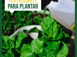 Foto de Veroneze Sustentabilidade em Primavera do Leste, MT por Solutudo