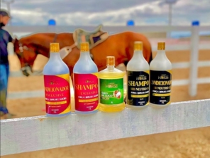 Foto de Libert Horse em Aracaju, SE por Solutudo