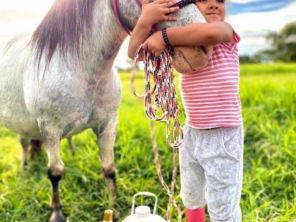 Foto de Libert Horse em Aracaju, SE por Solutudo
