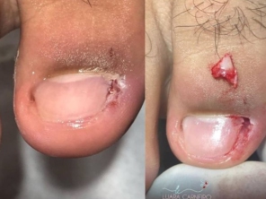 Foto galeria da empresa