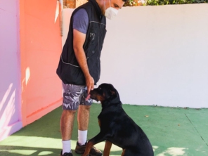 Foto de Hoppi Dog em Botucatu, SP por Solutudo