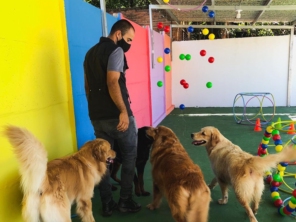 Foto de Hoppi Dog em Botucatu, SP por Solutudo