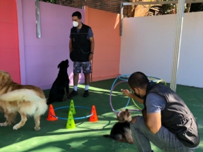 Foto galeria da empresa