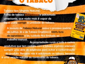 Foto de Kling Tabacaria em Armação dos Búzios, RJ por Solutudo