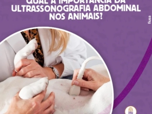 Foto de Animalia Farma Jundiaí em Jundiaí, SP por Solutudo