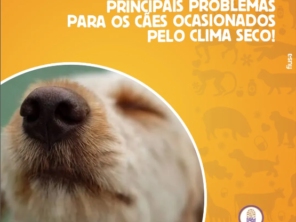 Foto de Animalia Farma Jundiaí em Jundiaí, SP por Solutudo