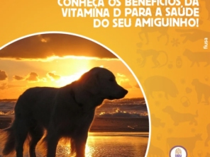 Foto de Animalia Farma Jundiaí em Jundiaí, SP por Solutudo