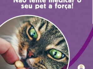 Foto de Animalia Farma Jundiaí em Jundiaí, SP por Solutudo
