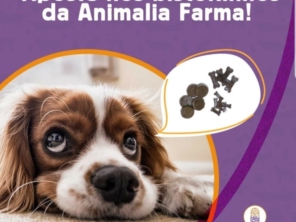 Foto de Animalia Farma Jundiaí em Jundiaí, SP por Solutudo