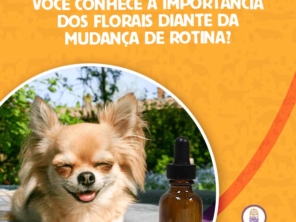 Foto de Animalia Farma Jundiaí em Jundiaí, SP por Solutudo