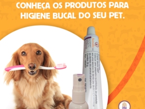 Foto de Animalia Farma Jundiaí em Jundiaí, SP por Solutudo