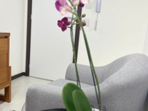 Foto de Simone D'Avila Esteticista em Bauru, SP por Solutudo