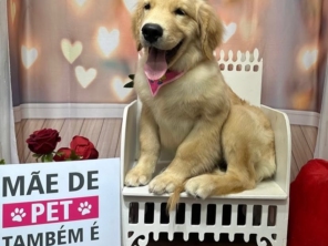 Foto de Valentina´s Pet Store em Botucatu, SP por Solutudo