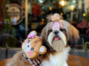 Foto de Valentina´s Pet Store em Botucatu, SP por Solutudo