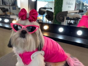 Foto de Valentina´s Pet Store em Botucatu, SP por Solutudo
