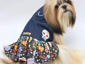 Foto de Valentina´s Pet Store em Botucatu, SP por Solutudo