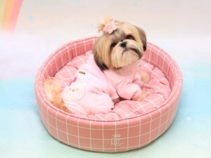 Foto de Valentina´s Pet Store em Botucatu, SP por Solutudo