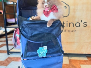 Foto de Valentina´s Pet Store em Botucatu, SP por Solutudo