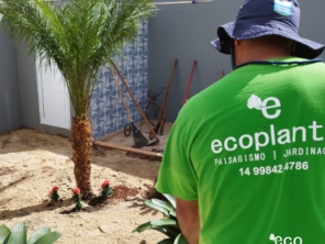 Foto de Ecoplante Paisagismo e Jardinagem em Botucatu, SP por Solutudo