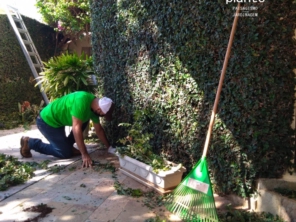 Foto de Ecoplante Paisagismo e Jardinagem em Botucatu, SP por Solutudo