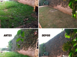 Foto galeria da empresa