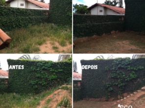 Foto de Ecoplante Paisagismo e Jardinagem em Botucatu, SP por Solutudo