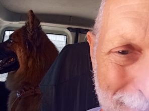 Foto de Transpet - Taxi Dog em Jundiaí, SP por Solutudo
