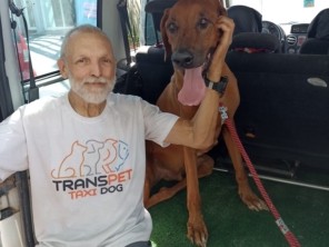 Foto de Transpet - Taxi Dog em Jundiaí, SP por Solutudo
