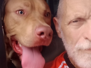 Foto de Transpet - Taxi Dog em Jundiaí, SP por Solutudo